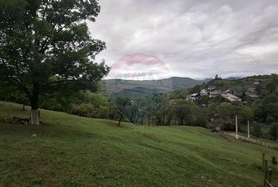 Teren cu priveliste spectaculoasa, 4000mp, la 18km de Sinaia Teren cu priveliste spectaculoasa, 4000mp, la 18km de Sinaia - 1