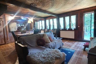 Casa de vacanta (Pensiune) in Lepsa - 15