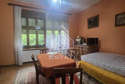 Proprietate cu potential turistic in Gurahont - 16