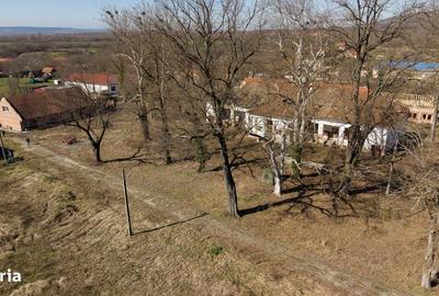 Casă cu 8 camere cu Teren 22919 Mp în Constantin Daicoviciu - 2