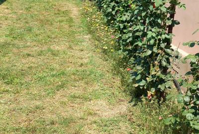 Casă cu 2 camere cu Teren 557 Mp în Coroi - 1