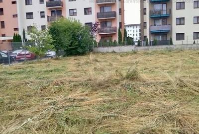 Spațiu comercial, în Tractorul - 2