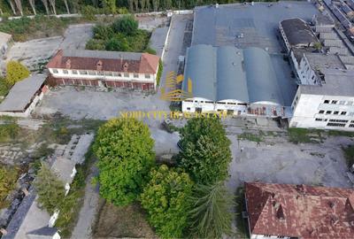 Spațiu industrial, de 21,018 mp, în Exterior Vest - 5
