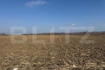 Teren intravilan, 2900 mp, zona Soseaua de centura - 2