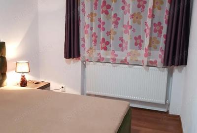 Apartament cu 2 camere semidecomandat în Gojdu - 17