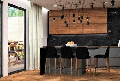 Vila Iancu Nicolae in apropierea padurii - 3