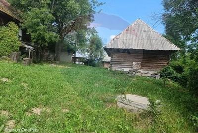 Casă cu 3 camere cu Teren 5472 Mp în Breb - 3