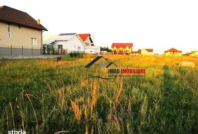 Spațiu comercial, în Viforâta - 5