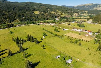 Teren agricol intravilan de 22000 mp, în Plaiu Șarului - 19