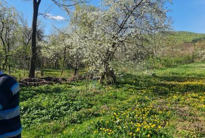 Casă cu 4 camere cu Teren 1869 Mp în Măgureni - 6