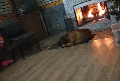 Casă cu 5 camere cu Teren 450 Mp în Mărăcineanu - 10