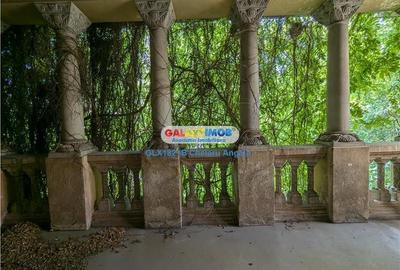 Cismigiu, vila neoromaneasca, suprafata construita 3000 mp, teren 1760 - 5