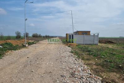 Teren Construcții intravilan de 10000 mp, în Cernica - 5