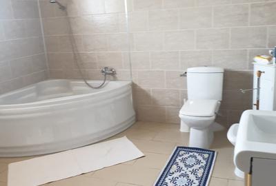 Vila individuala-la bulevard -Berceni IF - 9