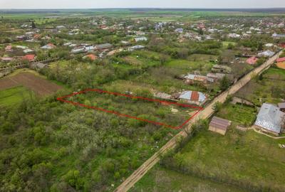 LETCA NOUA, TEREN CONSTRUCTII 1184 MP, FRONT 21 M ! - 3