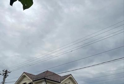 Vila de lux 750 mp teren | 360 mp construi?i | Apartament independent - 1