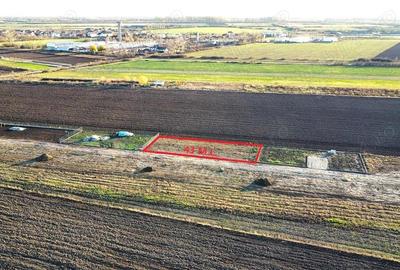 Teren intravilan 743 mp la intrarea in Odoreu - 4