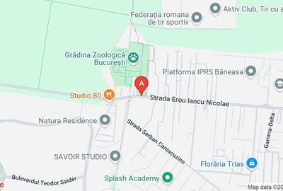 Teren Construcții intravilan de 4870 mp, în Iancu Nicolae