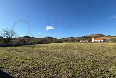 Teren de 7342 mp, în Alma - 4