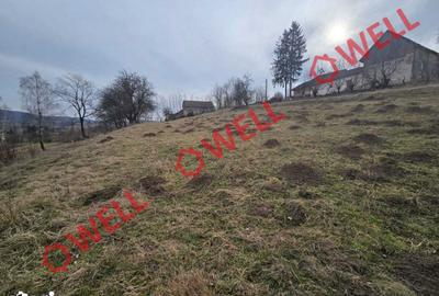 Teren de 5800 mp, în Barcani - 2