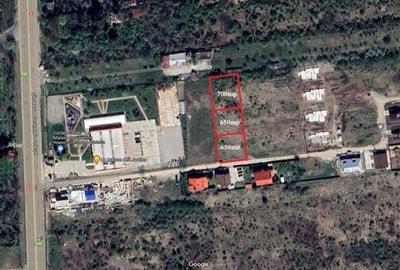 Teren de 2000 mp, în Săftica - 8