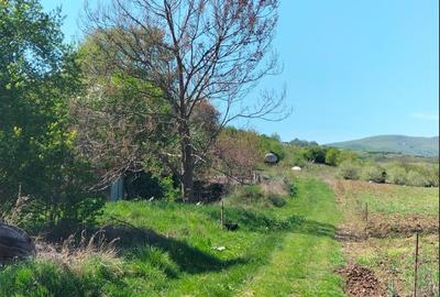 Teren Construcții intravilan de 2000 mp, în Nord-Est - 1