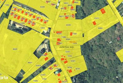 Teren de 4300 mp, în Rediu - 1