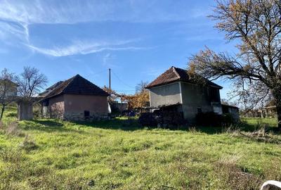 Casă cu 4 camere cu Teren 3400 Mp în Cornițel - 8