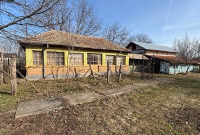 Casă cu 2 camere cu Teren 1266 Mp în Dascălu - 3
