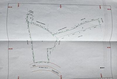 Teren de 5500 mp, în Buhalnița - 4