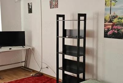 Garsoniera Dr. Taberei ANL Brancusi Dr. Doftanei Garsoniera Dr. Taberei ANL Brancusi Dr. Doftanei - 7