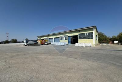 Spatiu industrial hala curte generoasa ideal activitati reciclare Spatiu industrial hala curte generoasa ideal activitati reciclare - 3