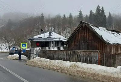 Casă cu Teren 350 Mp în Cerbu - 4