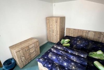 Cabana cu 4 dormitoare, foisor, ciubar, Statiunea Muntele Baisorii - 11