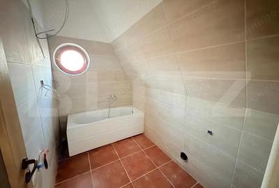 Casa de vanzare 534 mp, teren 16.351 mp, Viile Satu Mare - 1