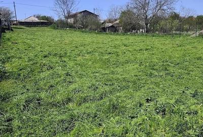 Teren de 1400 mp, în Dulcești - 1