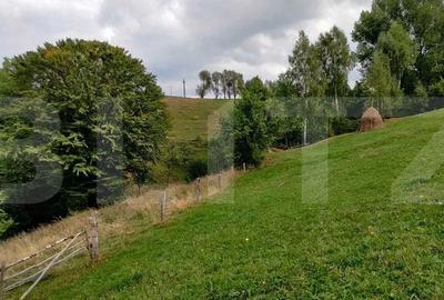 Casa de vacanta, 4 camere, teren 18000mp - 8