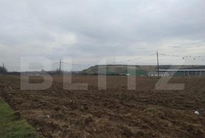 Teren de 13000 mp, în Mofleni - 2