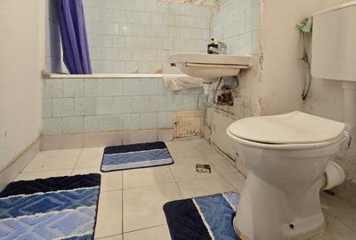 Lacul Tei - Maica Domnului, apropiere Facultatea de Constructii - 7