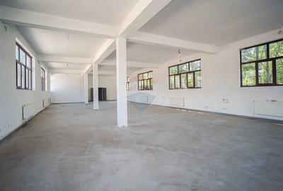 Hala industriala moderna de vanzare - Tomesti, Iasi - 0% Comision - 6