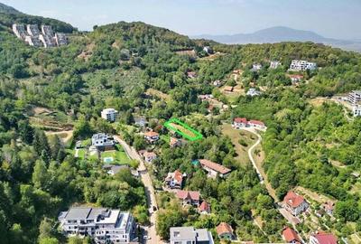Teren intravilan Brasovul Vechi - 1