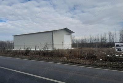 Inchiriez hala padure lucianca - 2