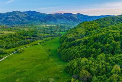 Teren agricol extravilan de 3352 mp, în Șinca Nouă - 9
