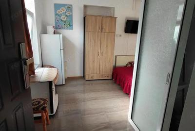 Apartament 1 camera la curte ,str. Traian - 2