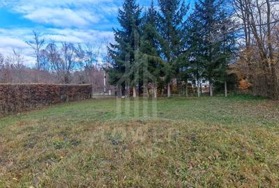 Teren de vanzare în reprezentare exclusivă, situat pe Valea Avrigului! - 2