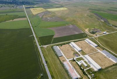 Teren Intravilan Investiții 11.600 mp Salonta - 4