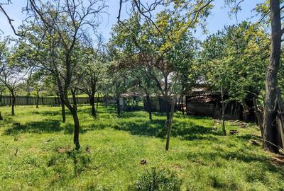 Teren cu constructie de vanzare zona Urlati/ Ceptura - 13