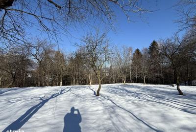 Spațiu comercial, în Bran - 5