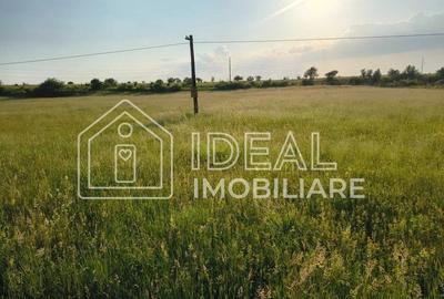 Teren agricol extravilan de 1800 mp, în Cârțișoara - 3