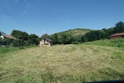 Teren De vanzare, Intravilan, 900mp, Vlaha